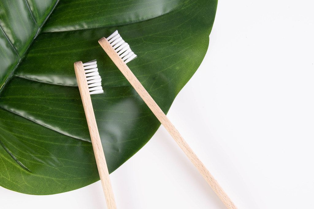 toothbrushes on leaf